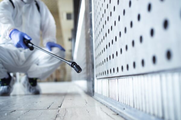 Effective Bedbug Control in Manchester: What You Need to Know Bedbug control Manchester