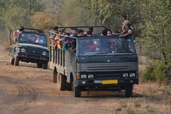 Must-Try Activities to Do in Sariska National Park Tour!