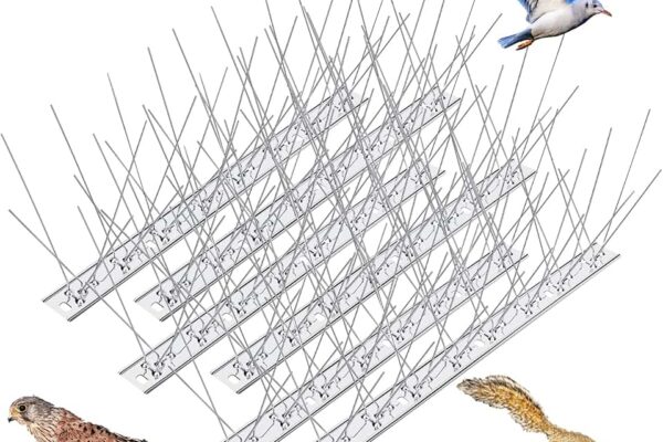 Bird Control Spikes Dubai: Safe and Effective Methods for Deterrence