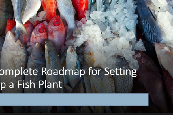 In-depth Analysis Fish Processing Plant Project Report 2025: Requirements and Setup Cost Fish Processing Plant