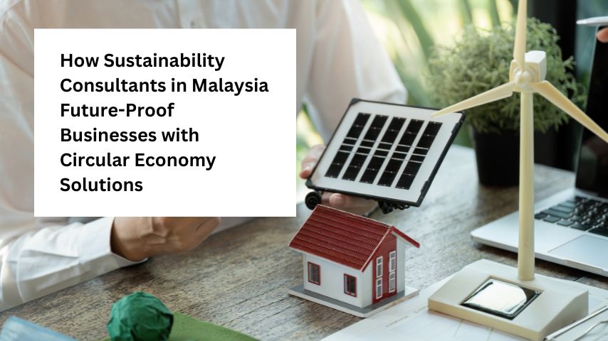 How Sustainability Consultants in Malaysia Help Future-Proof Your Business with Circular Economy Solutions
