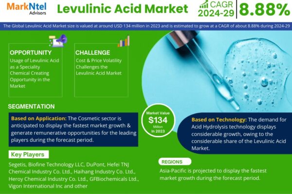 Levulinic Acid Market Analysis 2024–2029: Size, Share & Future Outlook