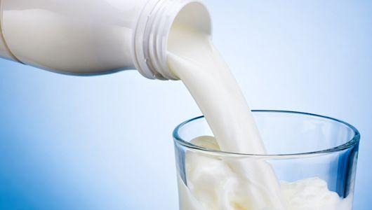 Liquid Milk Manufacturing Plant