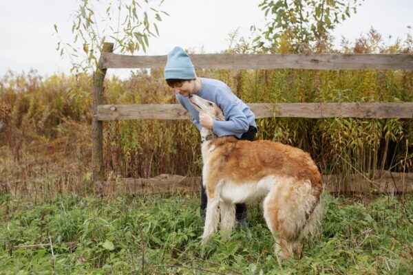 Wild Creature Healing for Natural Recovery and Emotional Balance Wild Creature Healing