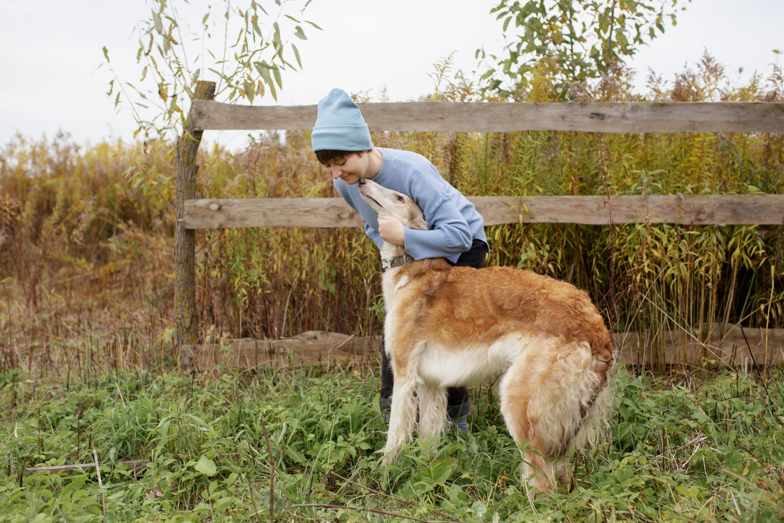 Wild Creature Healing