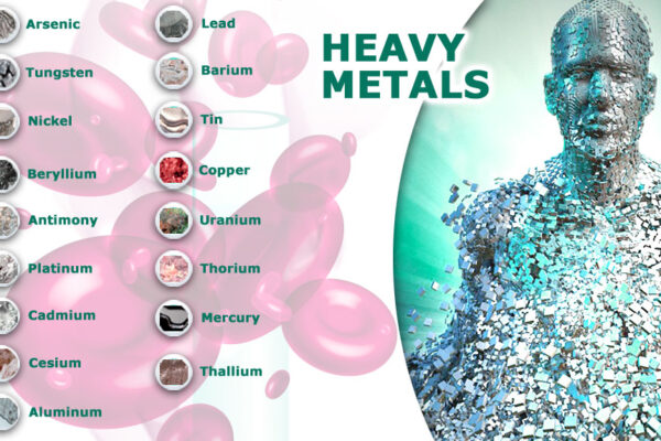 Heavy Metal Detox: A Simple Guide to Cleanse Your Body Naturally
