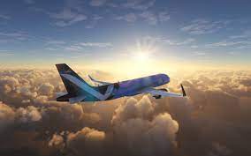 airlines ticket contact person