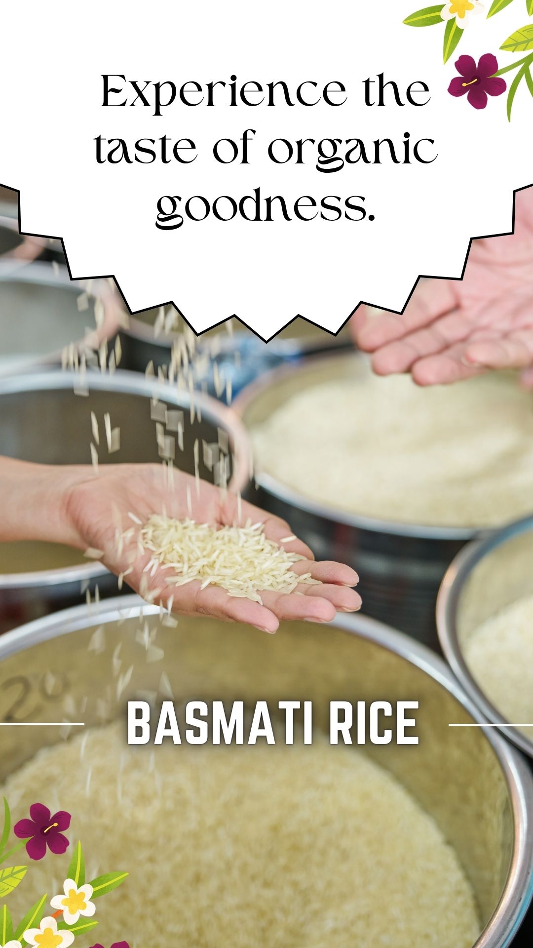 Basmati Rice Exporter Serving Global Quality Needs