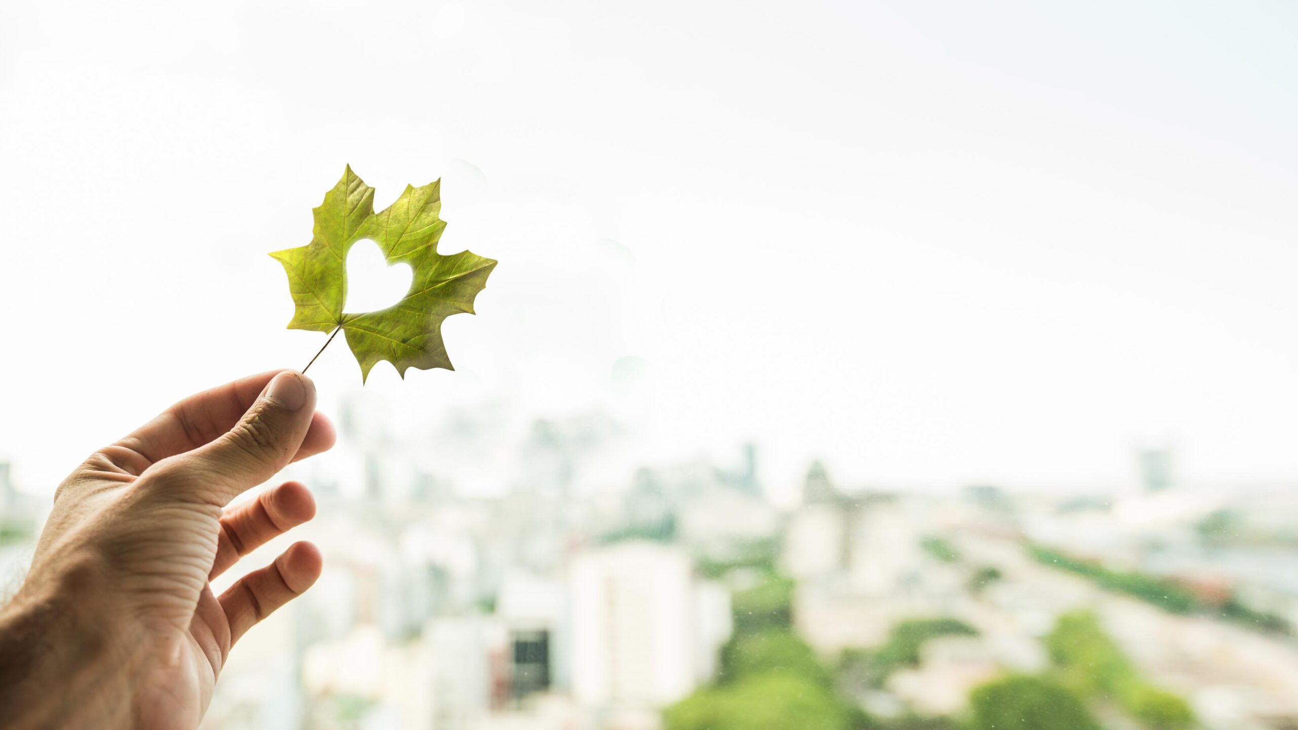 sustainability reporting