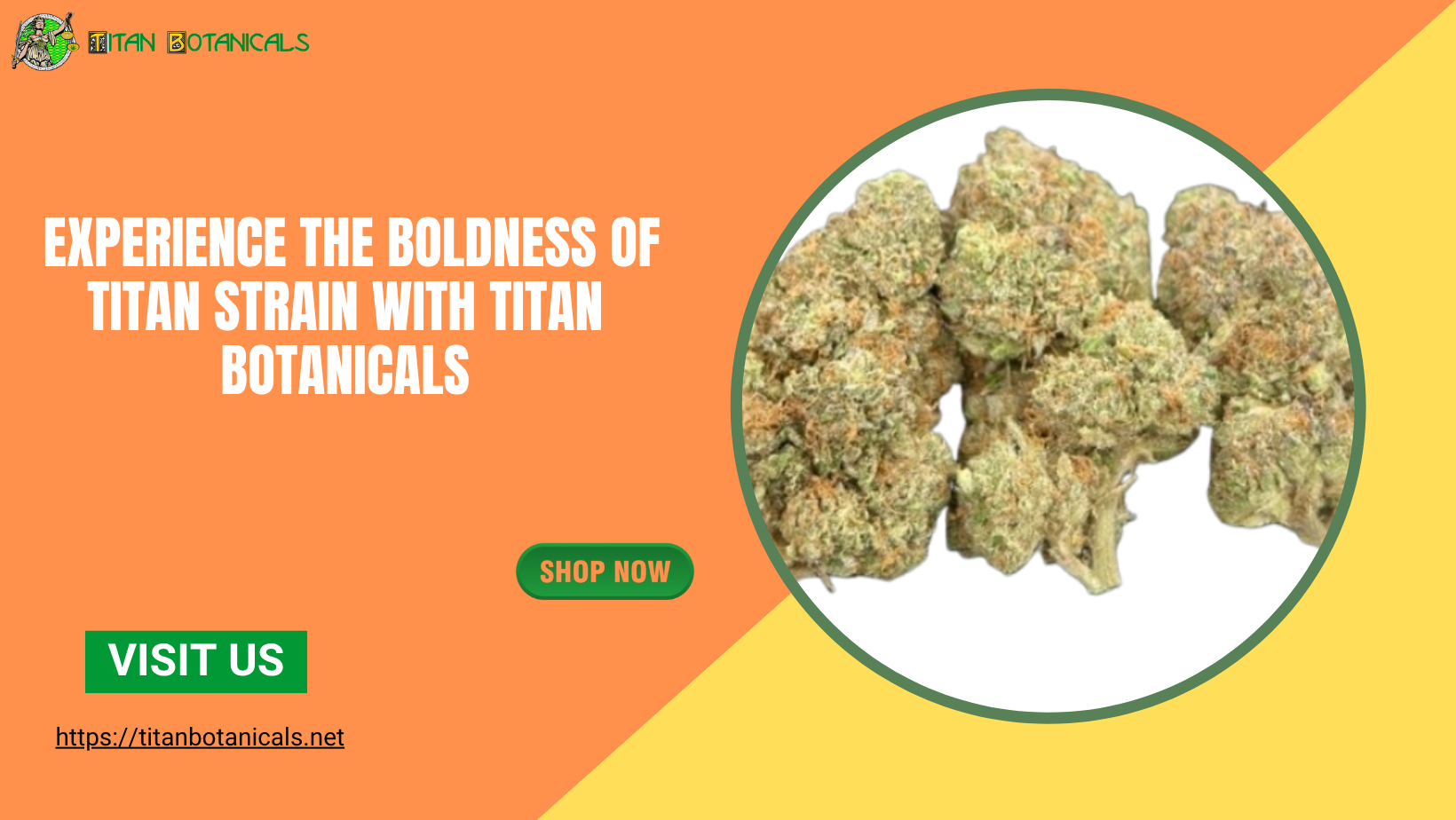 titan strain