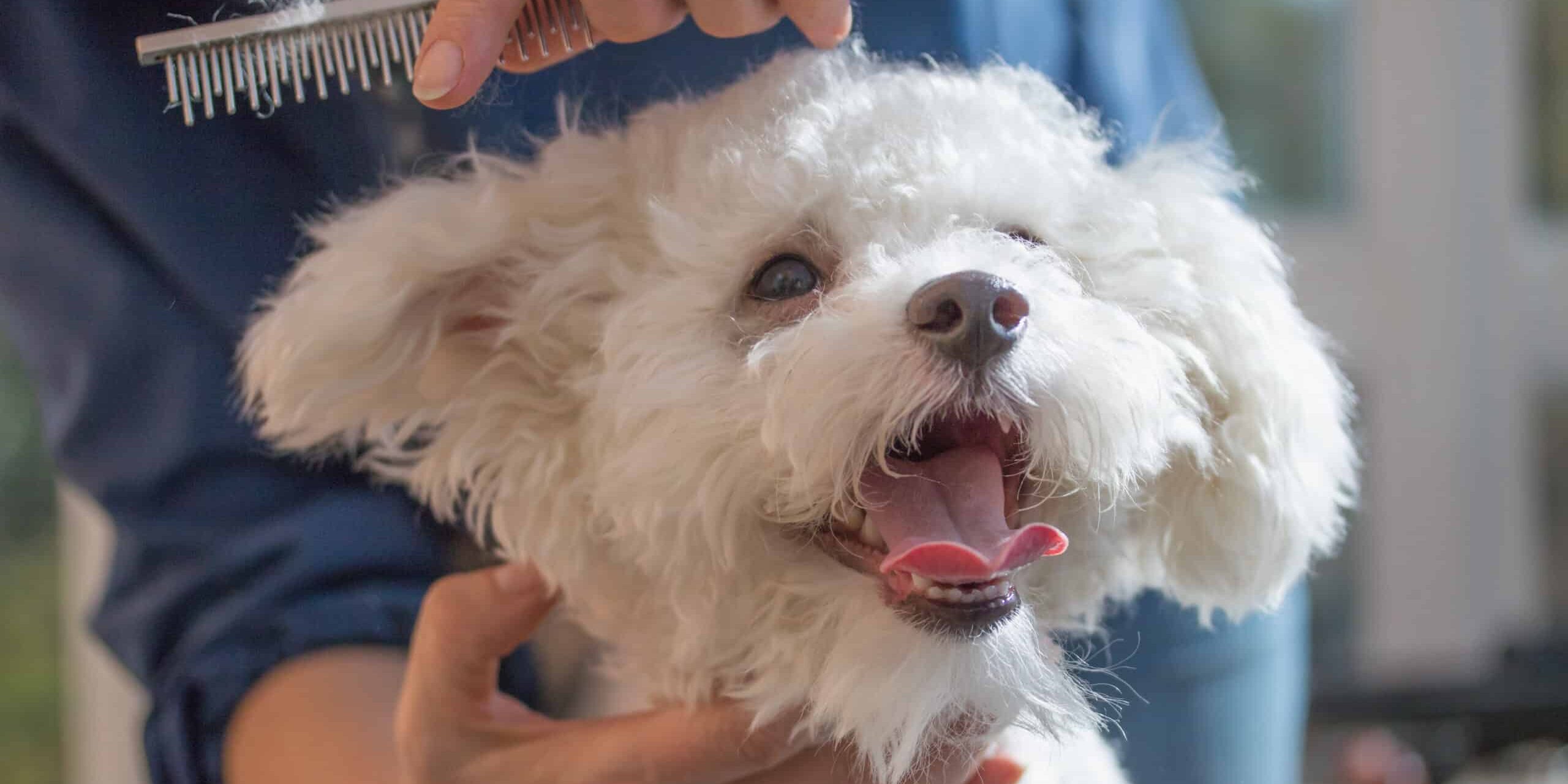 Mobile Pet Grooming