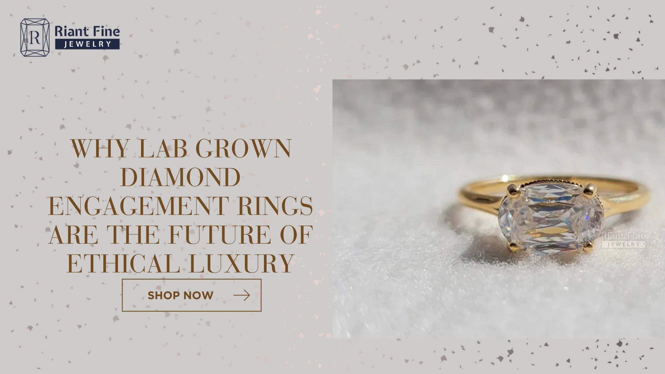 Lab Grown Diamond Engagement Rinns