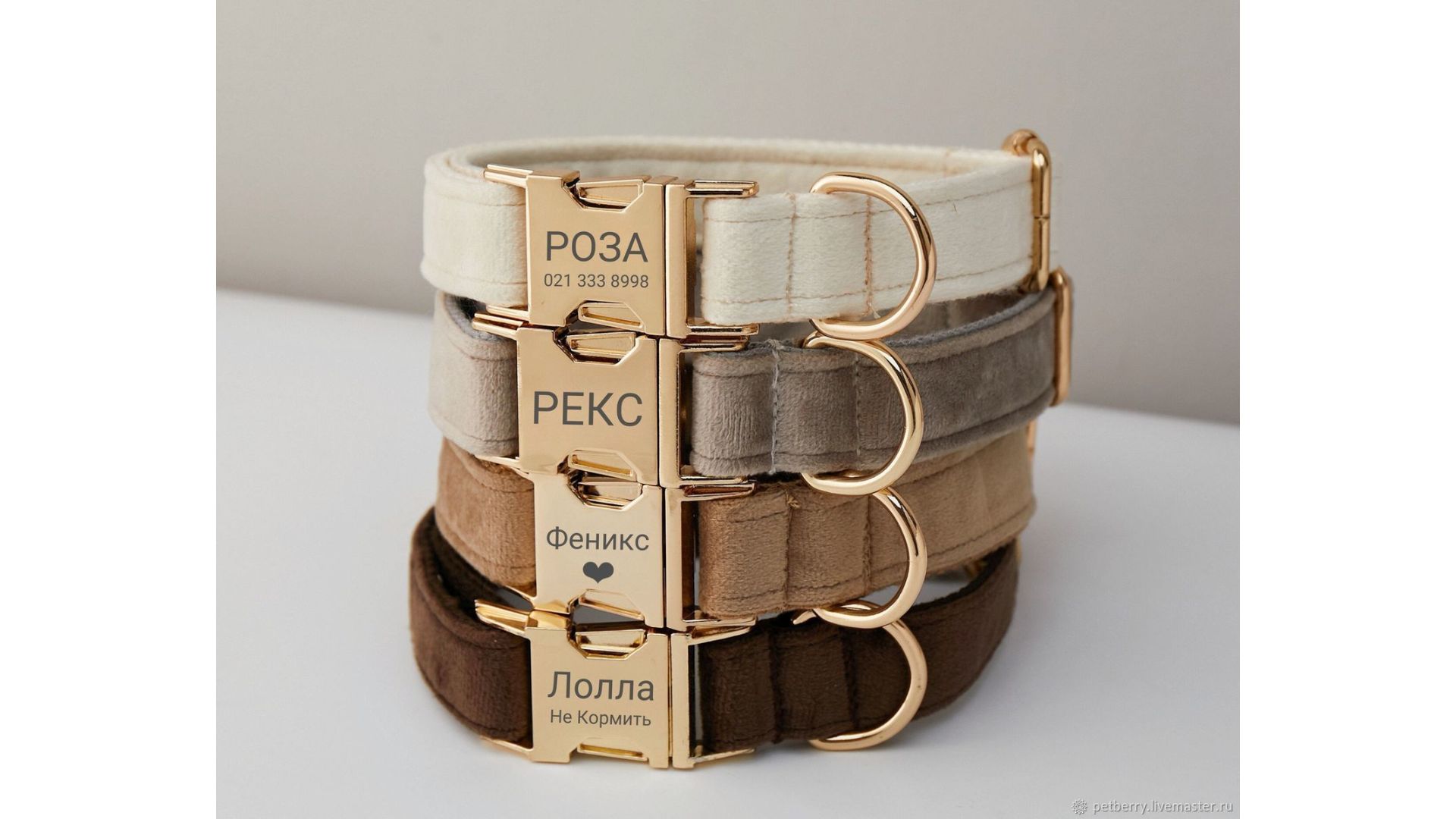 dog collar and leash set